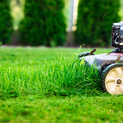 Lawn Care