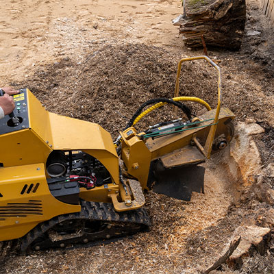 Stump Removal